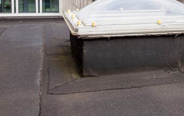 disadvantages of Ardchyle flat roofs